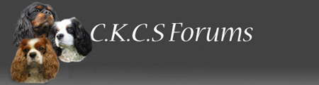 CKCS Forums - click here to join